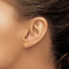 Elephant Stud Earrings Quality Gold of Cincinnati