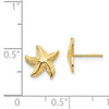 Starfish Stud Earrings Quality Gold of Cincinnati